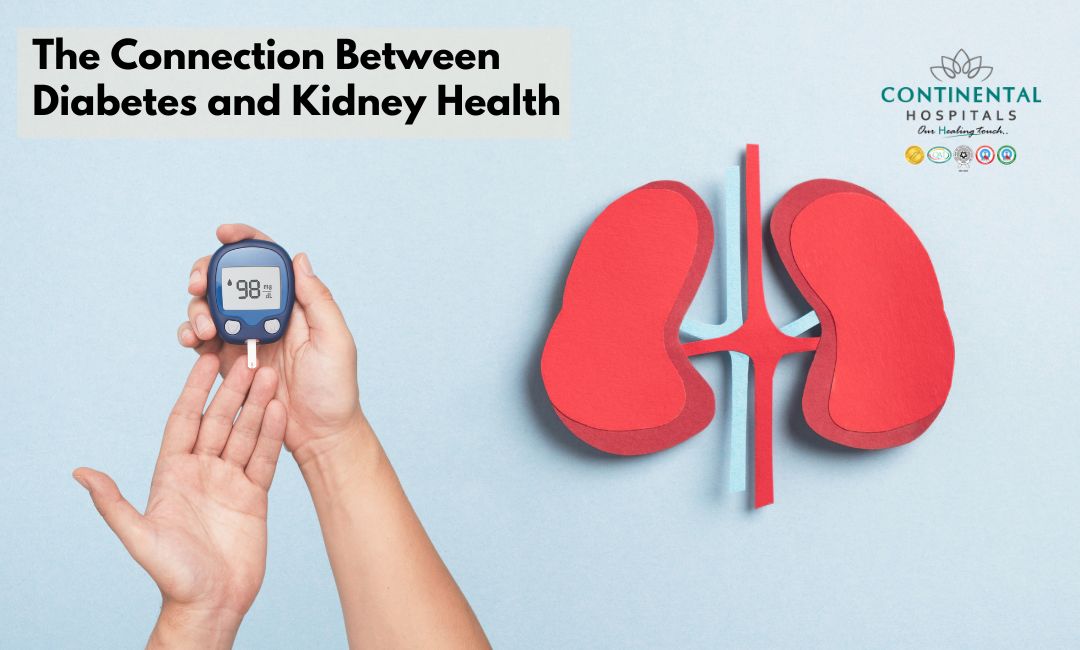 The Connection Between Diabetes and Kidney Health