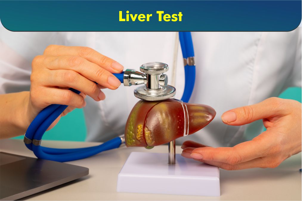 Liver Check Basic
