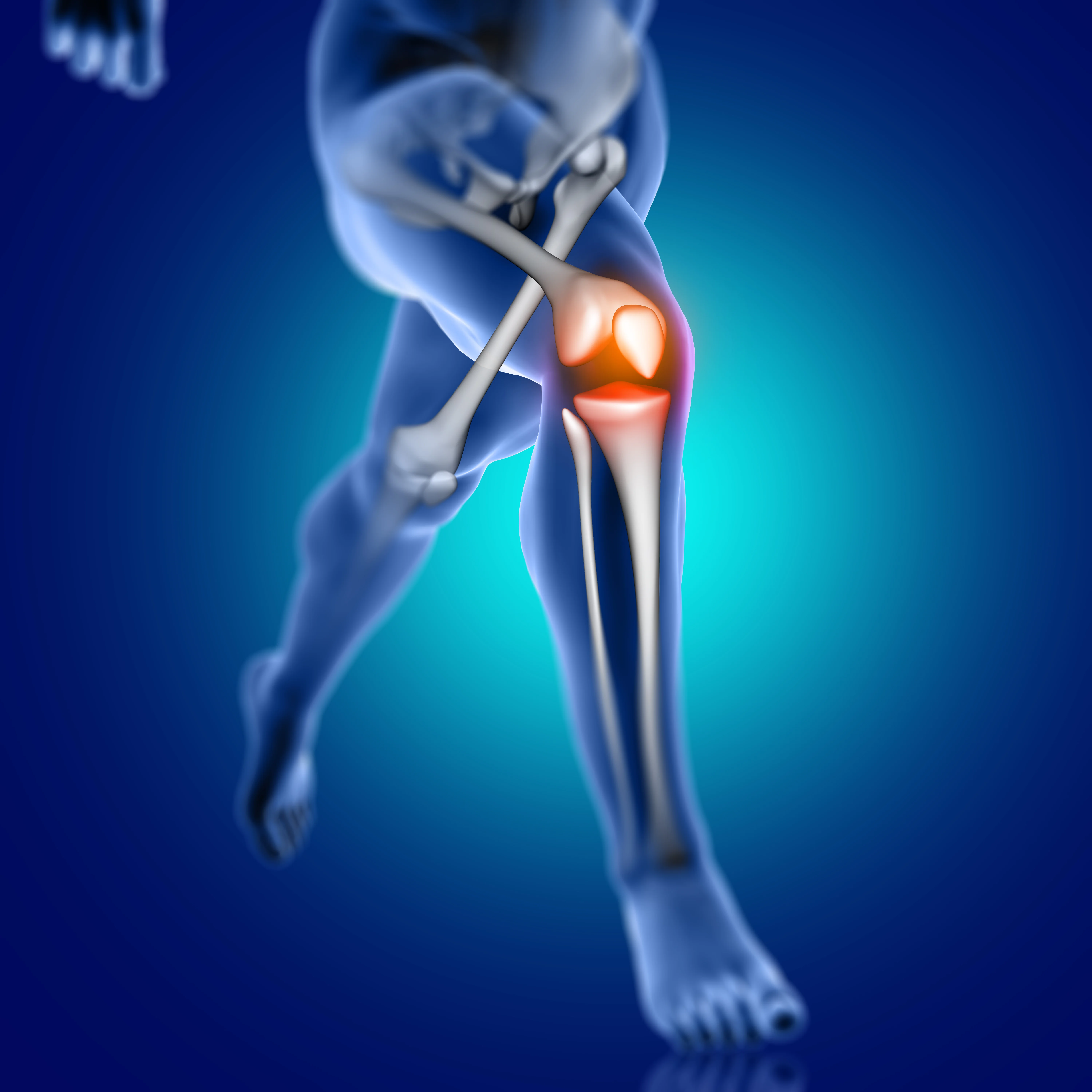 Knee Ligament Injury: Reddy Care Physical & Occupational Therapy