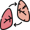 Lung Transplant