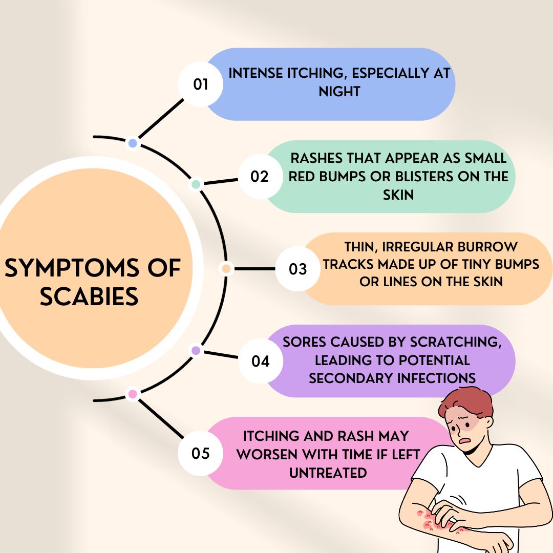 Symptoms of Scabies 