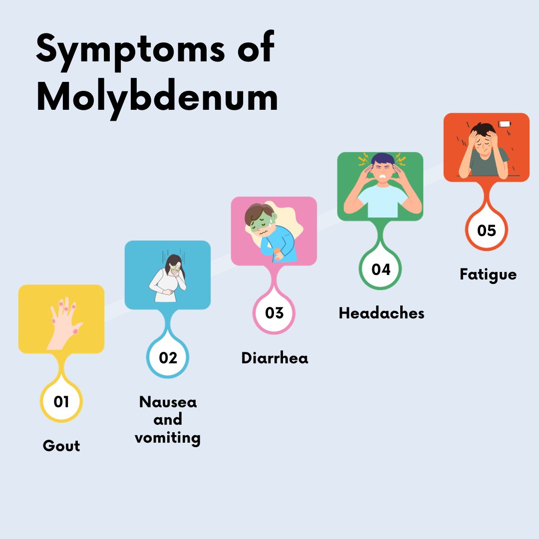 Symptoms of Molybdenum