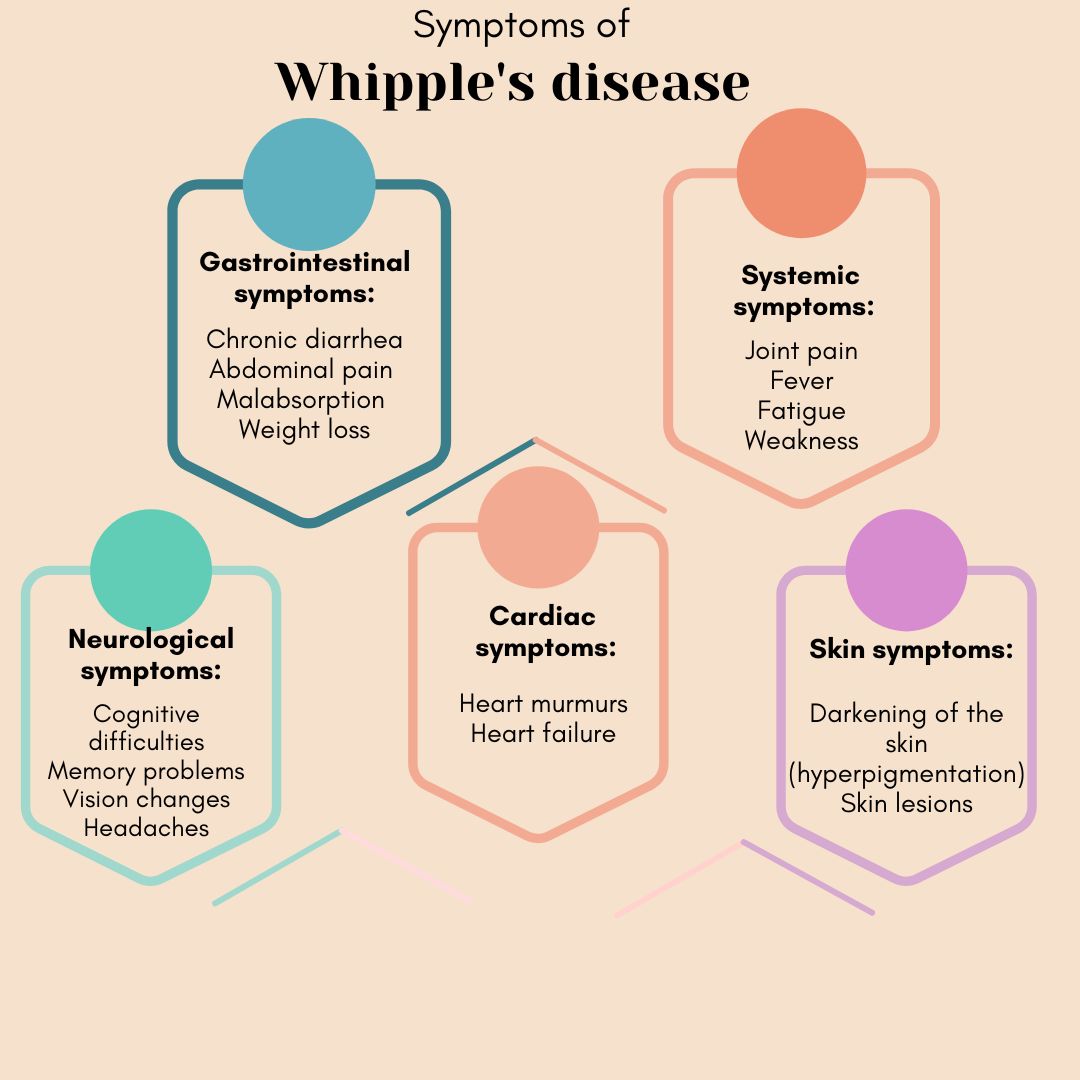 Symptoms of Whipple's disease
