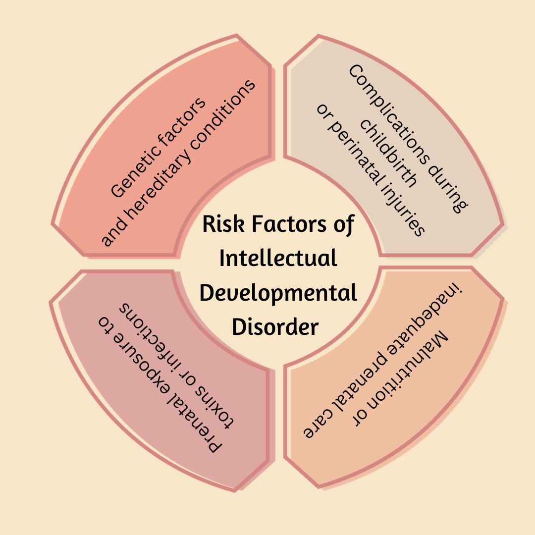 Risk Factors of Intellectual Developmental Disorder 
