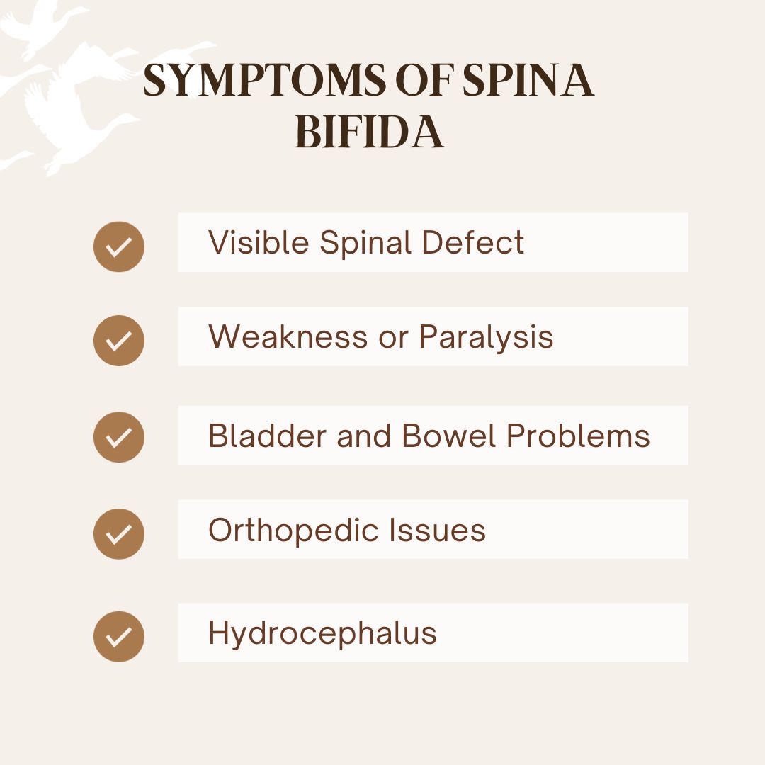 Symptoms of Spina bifida