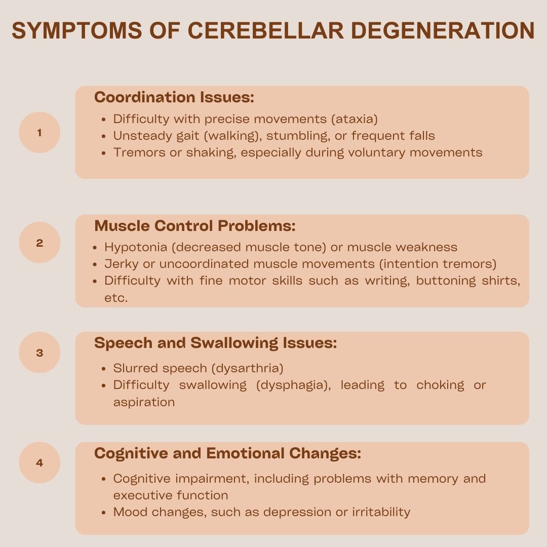 Symptoms of Cerebellar Degeneration