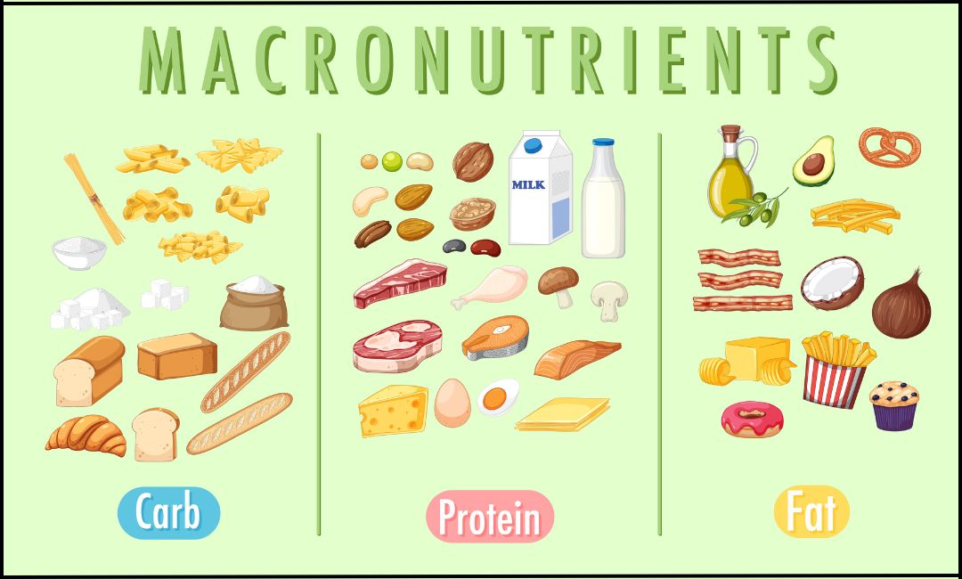 Carbohydrate and protein balance