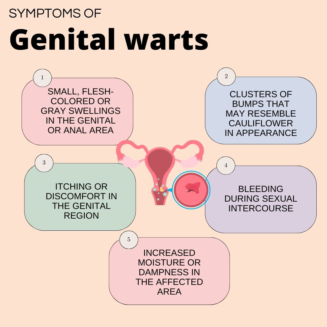 Symptoms of Genital warts 
