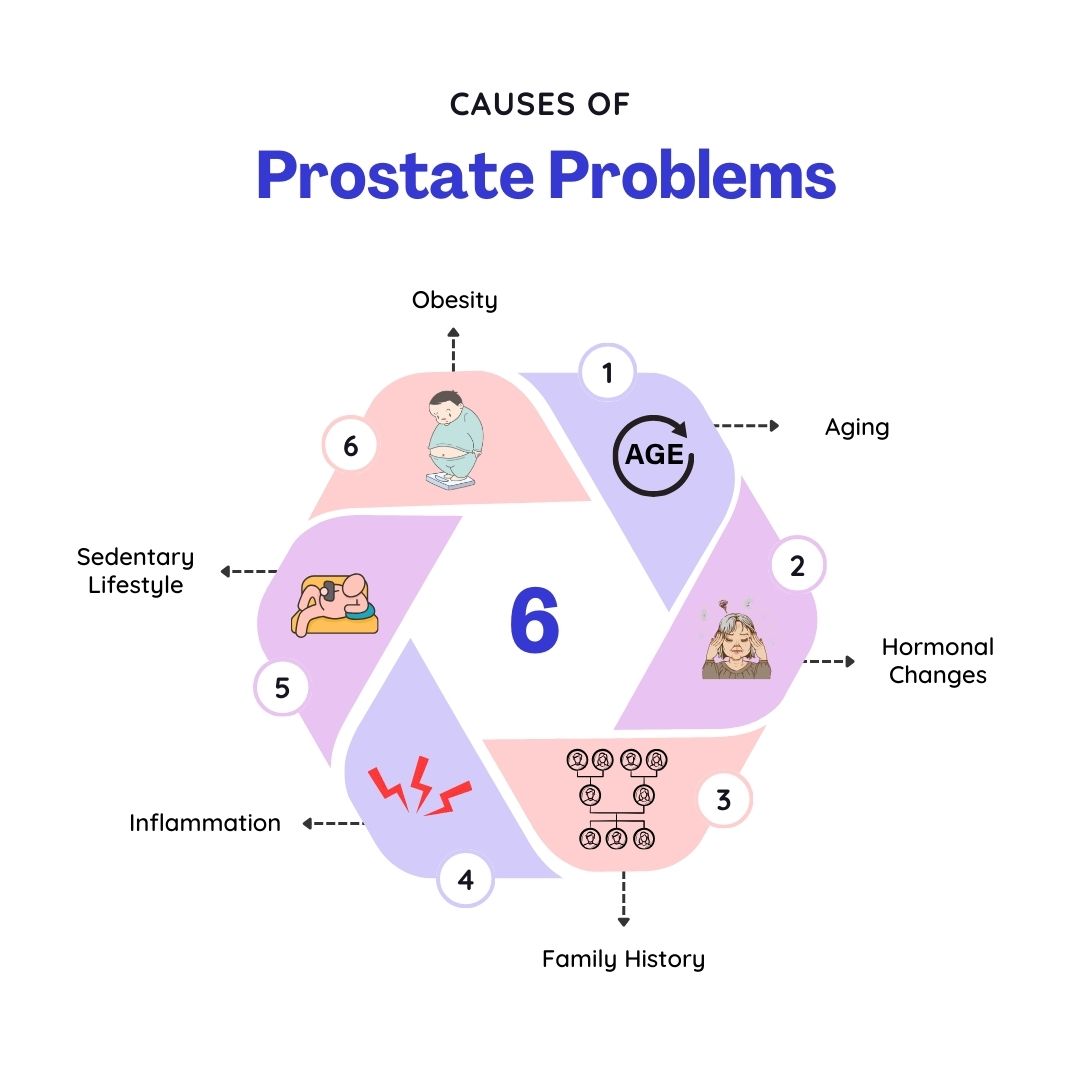 Causes of Prostate Problems