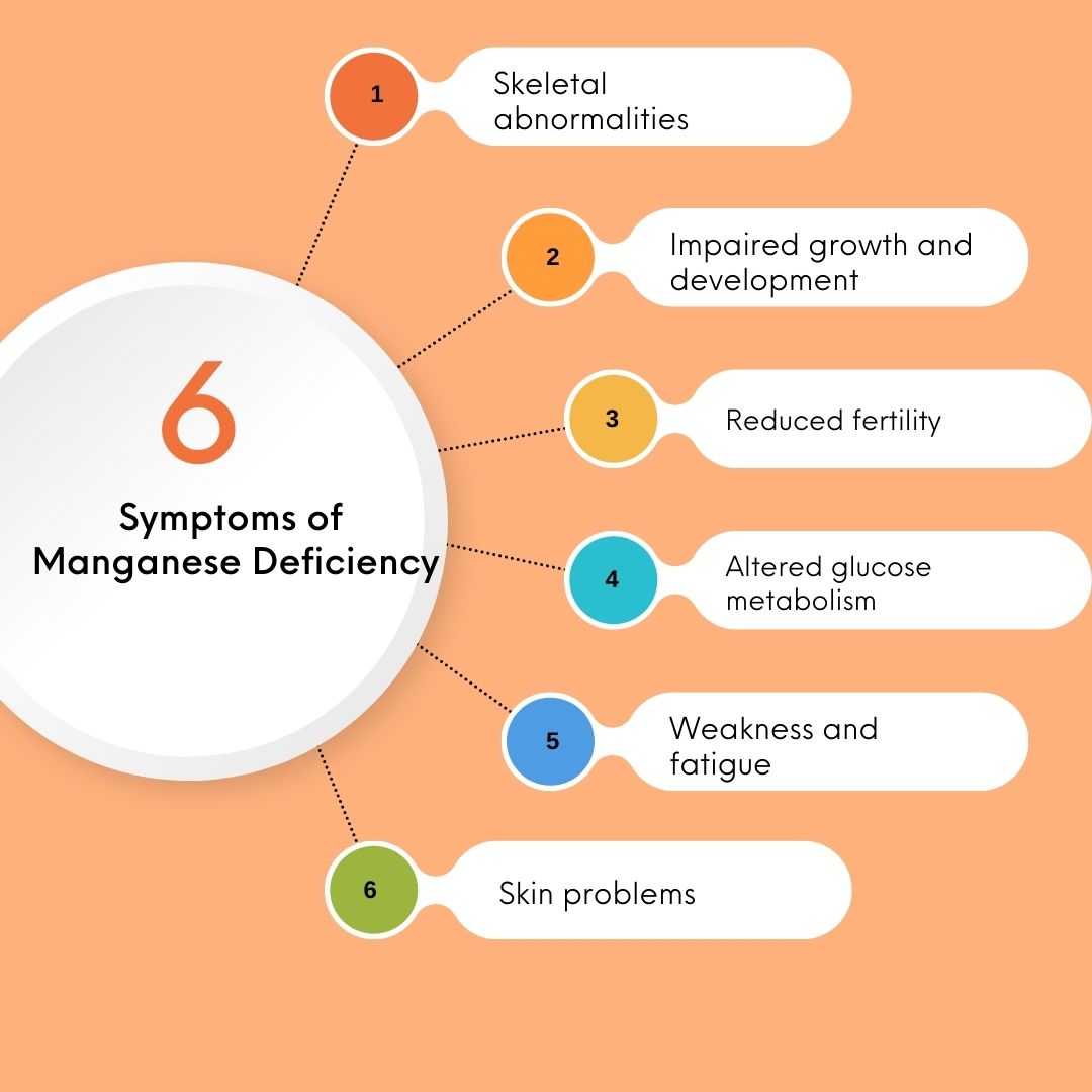 Symptoms of Manganese Deficiency